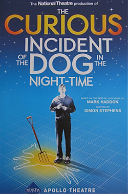 The Curious Incident